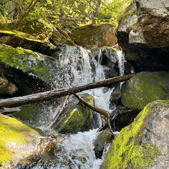 END STIGMAS DISEASE OF ADDICTION! - Picture 15 of 16